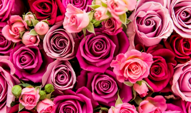 Valentine's Day 